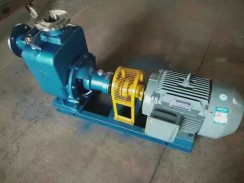 淄博(bo)不鏽鋼自(zi)吸泵