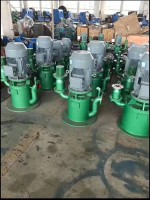 淄博WFB自(zì)控自吸泵(beng)