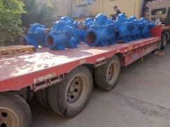 發貨現場(chǎng)